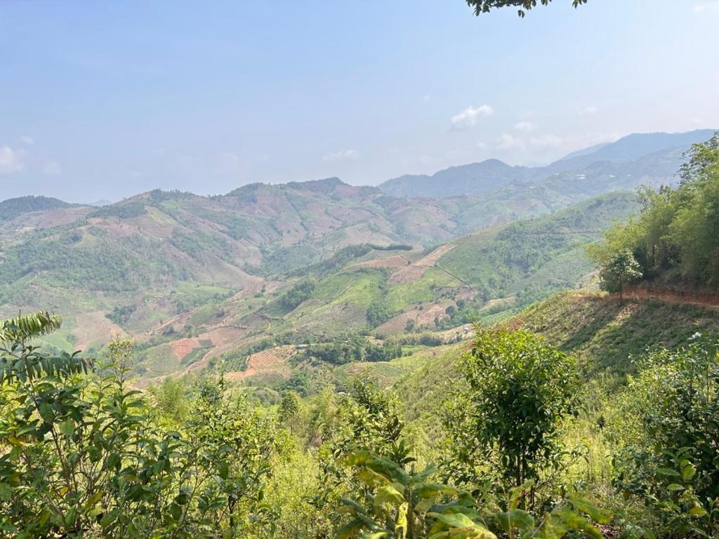 My Story Doichang Chiangrai Ban Huai Khai Bagian luar foto